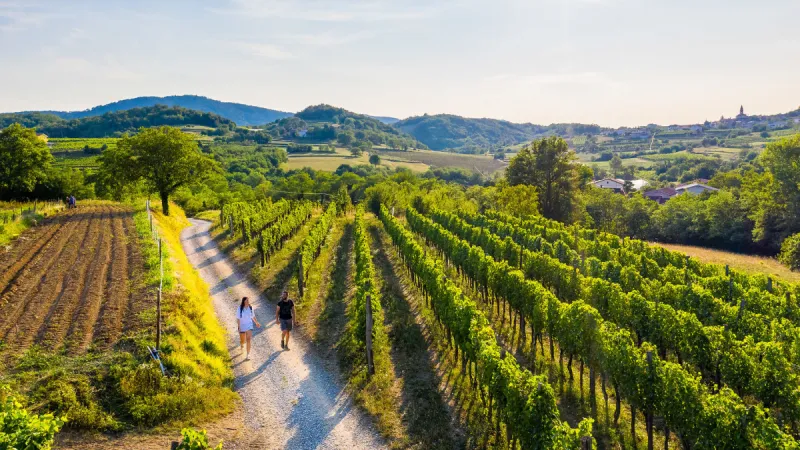 Slow Pours and High Altitude: The Alpine Wine Villages Quietly Stealing American Travelers From Napa