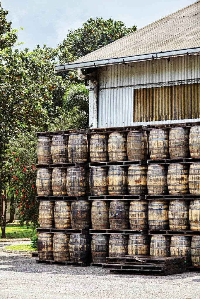 Cane Fields, Copper Pots, and Culture: Why the Caribbean Rum Trail Is the Spirit World's Greatest Untold Journey